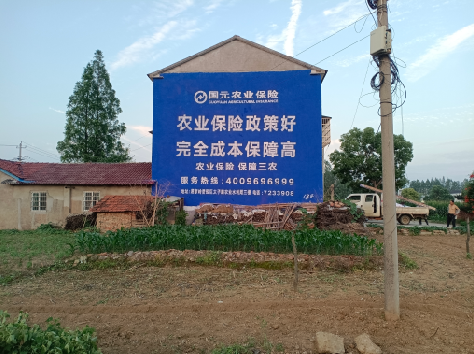  威信墙体广告为何受追捧？